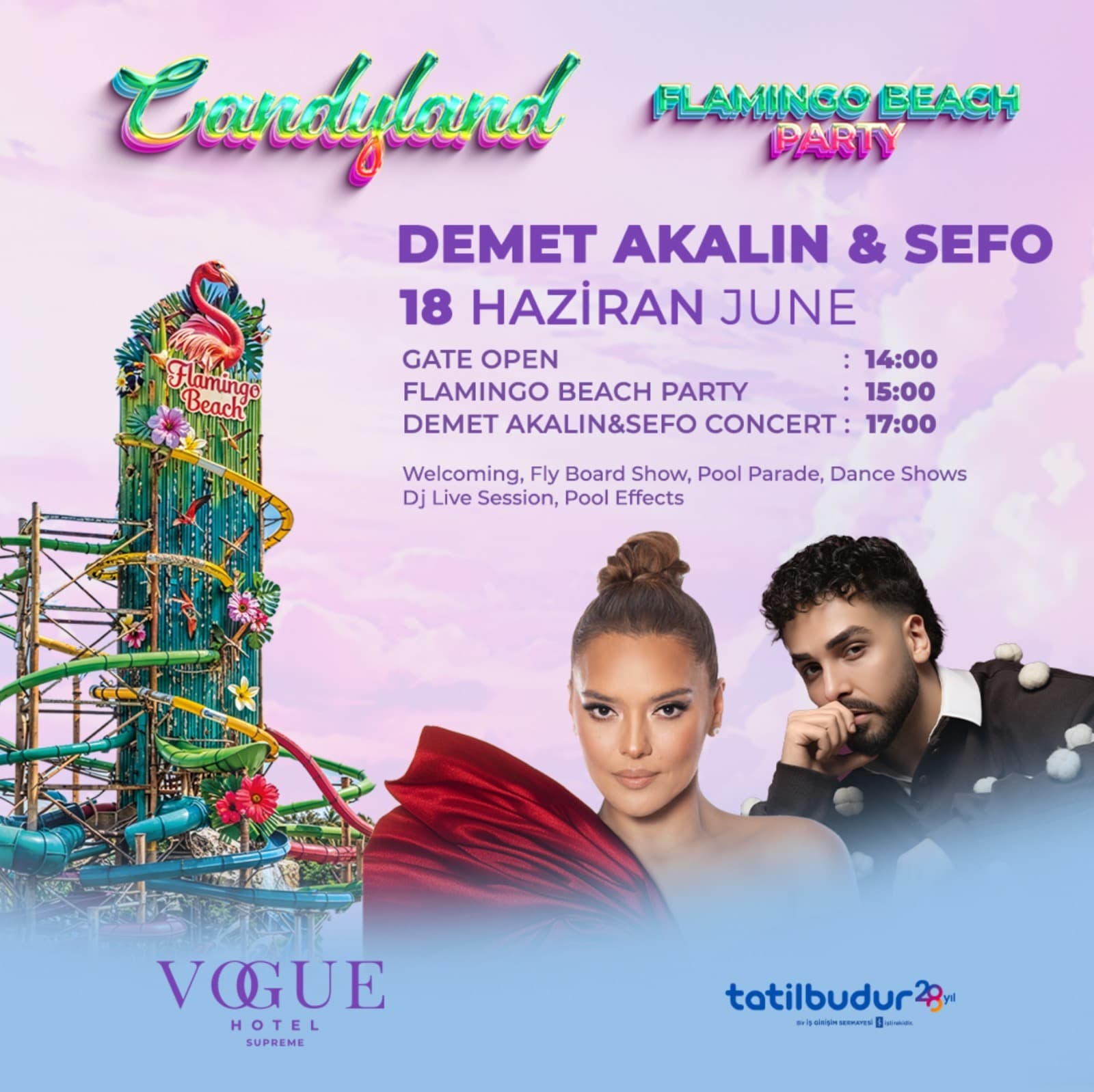 Candyland Flamingo Beach Party