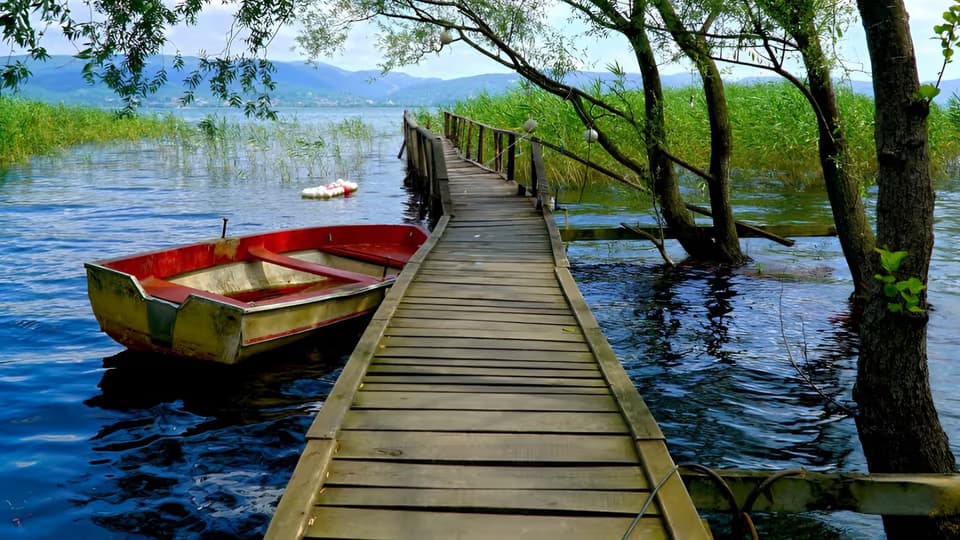 İstanbul'dan Sapanca & Masukiye Tam Gün Doğa Turu - Mayıs Ayı card