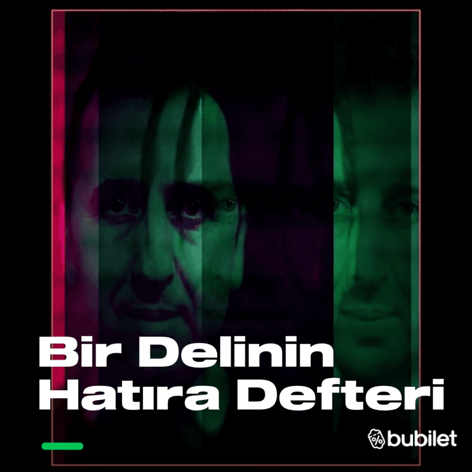 Bir Delinin Hatıra Defteri - Metin Zakoğlu card