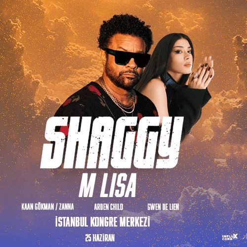 Incore Festival İstanbul: Shaggy card