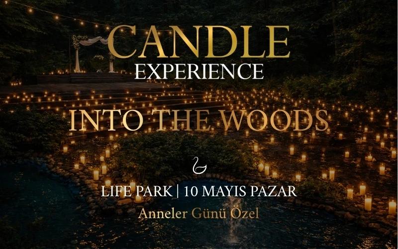 Candle Experience - Life Park card
