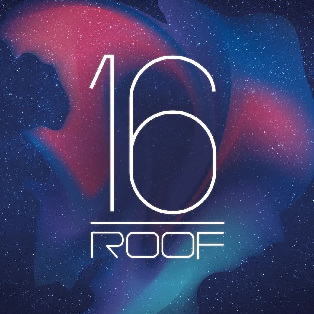 16 Roof