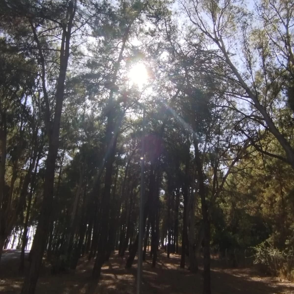 Kumluk Tabiat Parkı