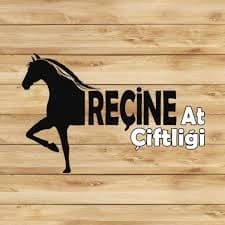 Reçine At Çiftliği