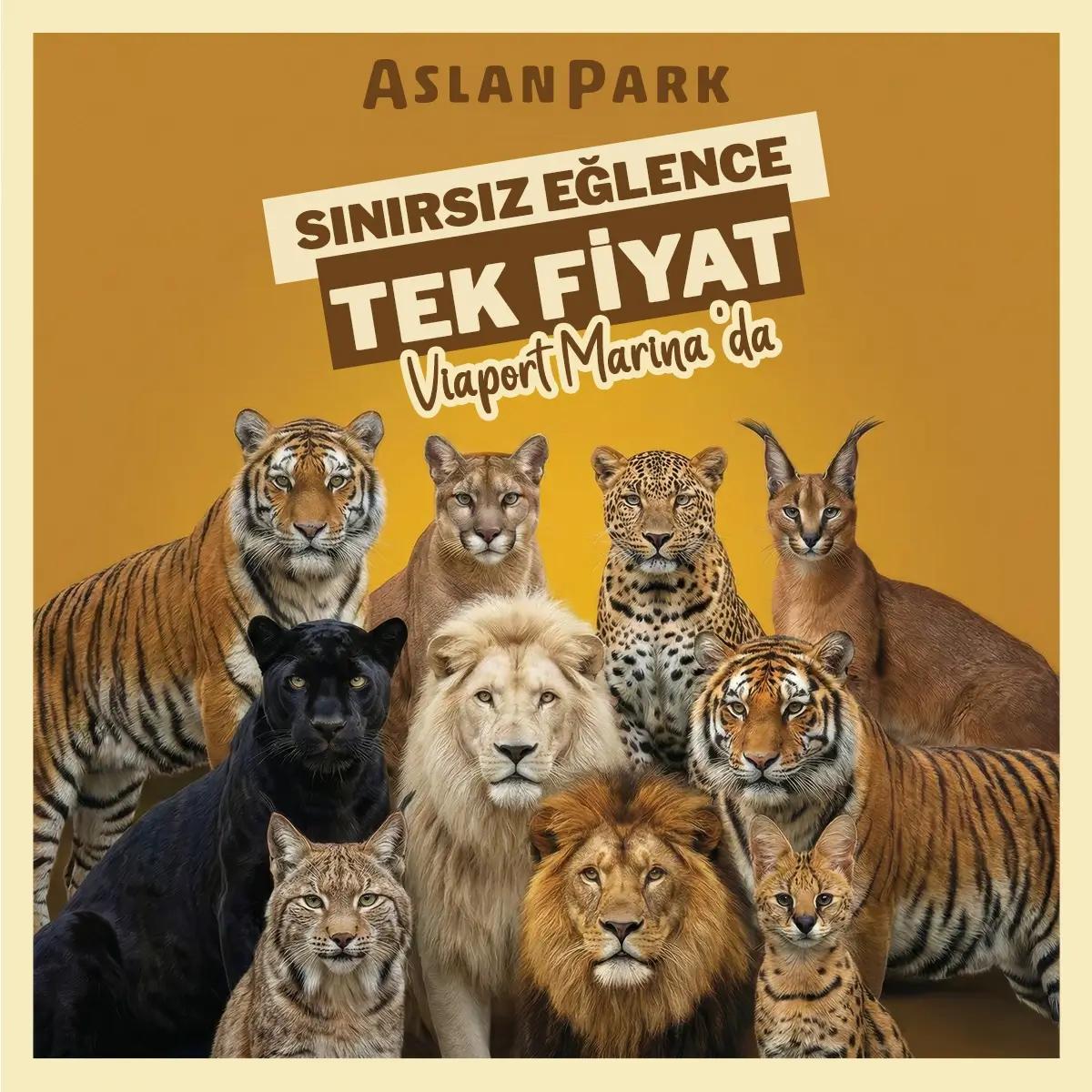 Aslan Park card