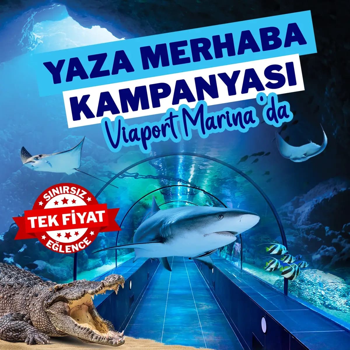 ViaSea Akvaryum card