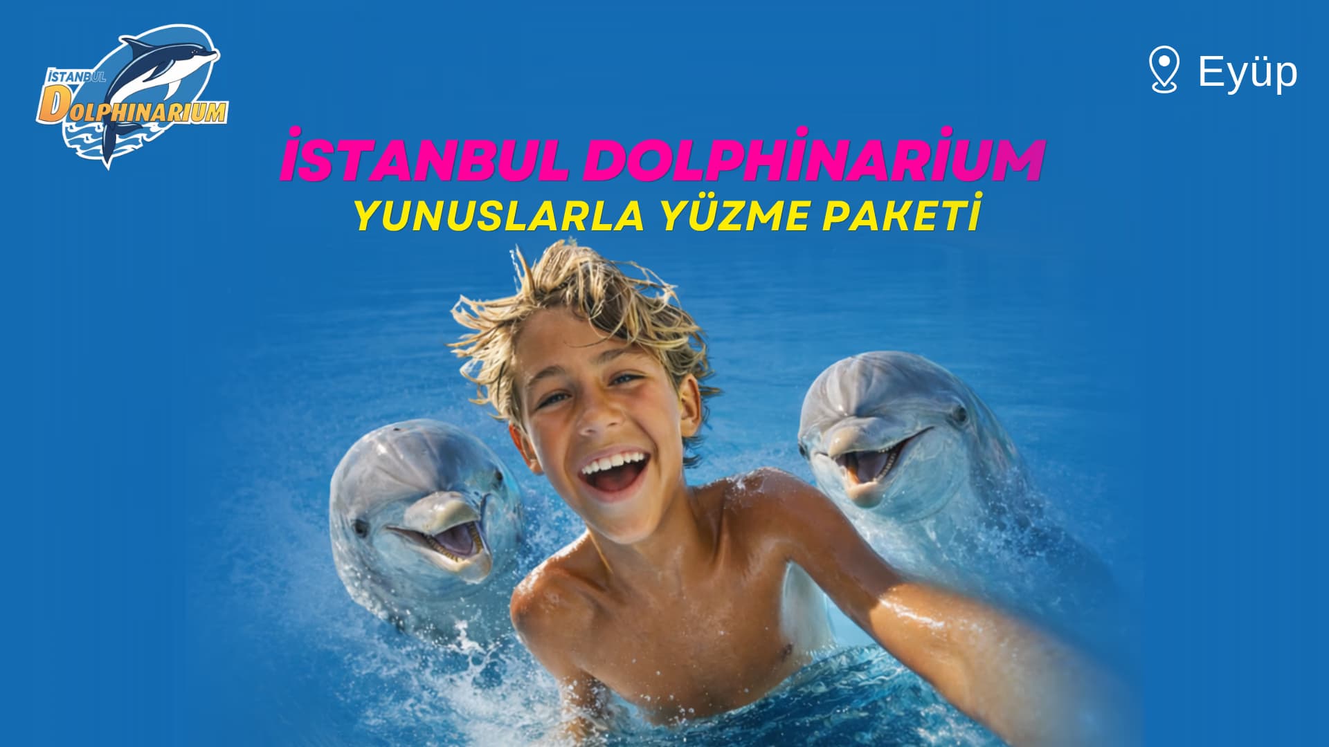 İstanbul Dolphinarium Yunuslarla Yüzme