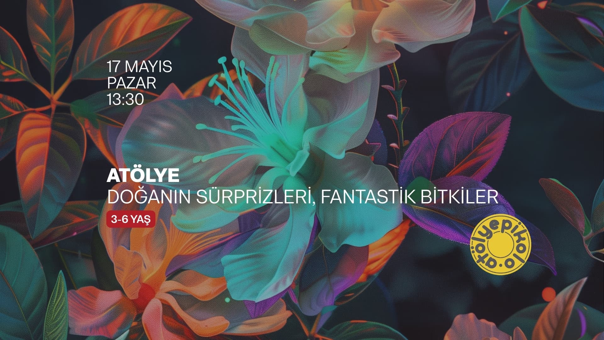 Doğanın Sürprizleri, Fantastik Bitkiler 
3-6 yaş (bir yetişkin eşliğinde) card