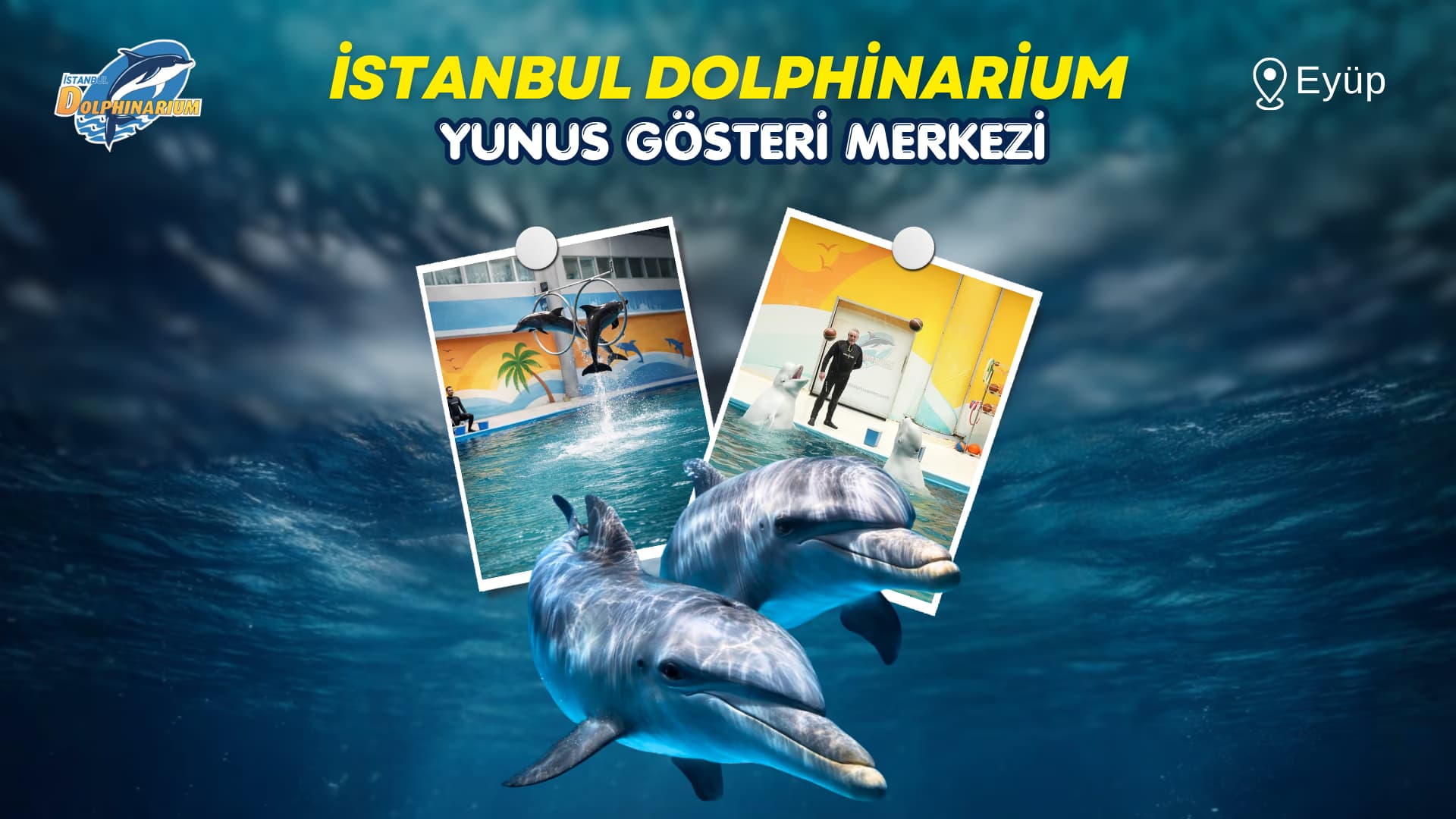 İstanbul Dolphinarium