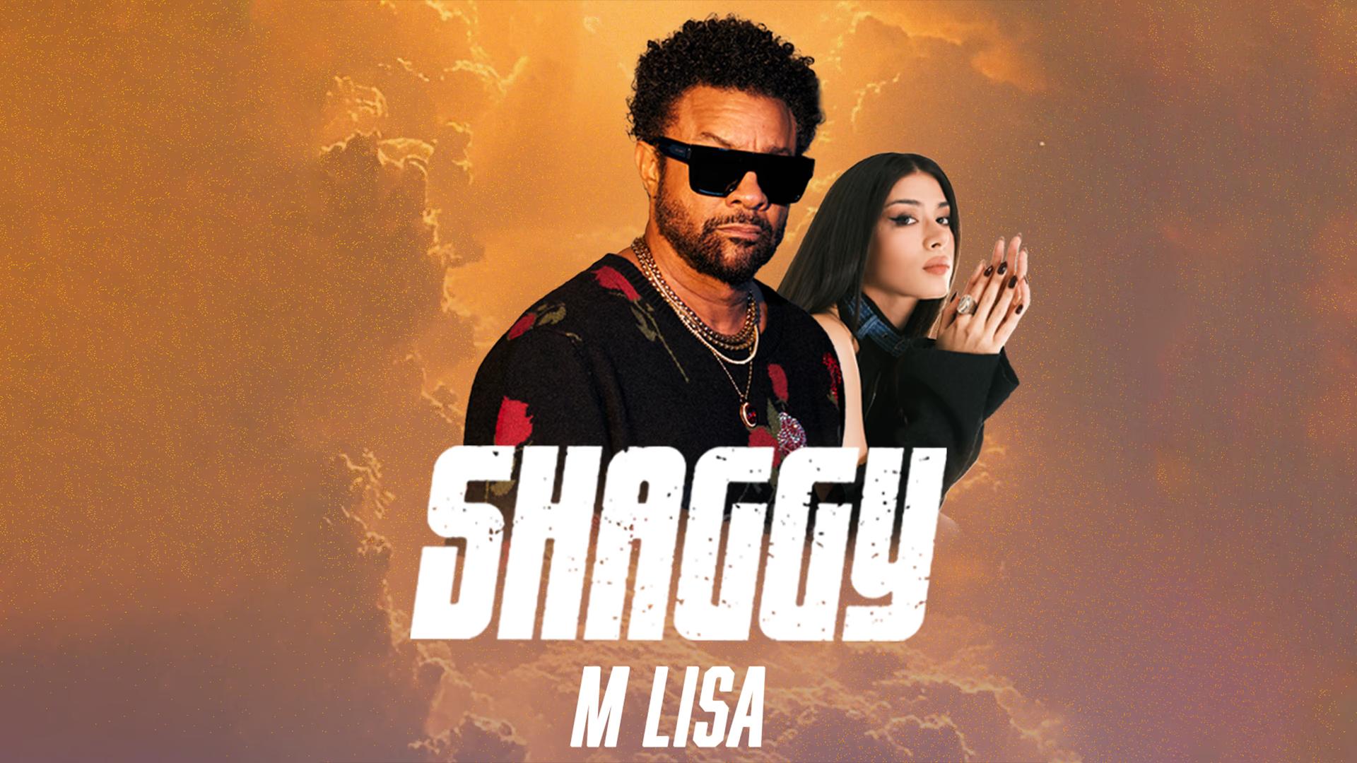 Shaggy card
