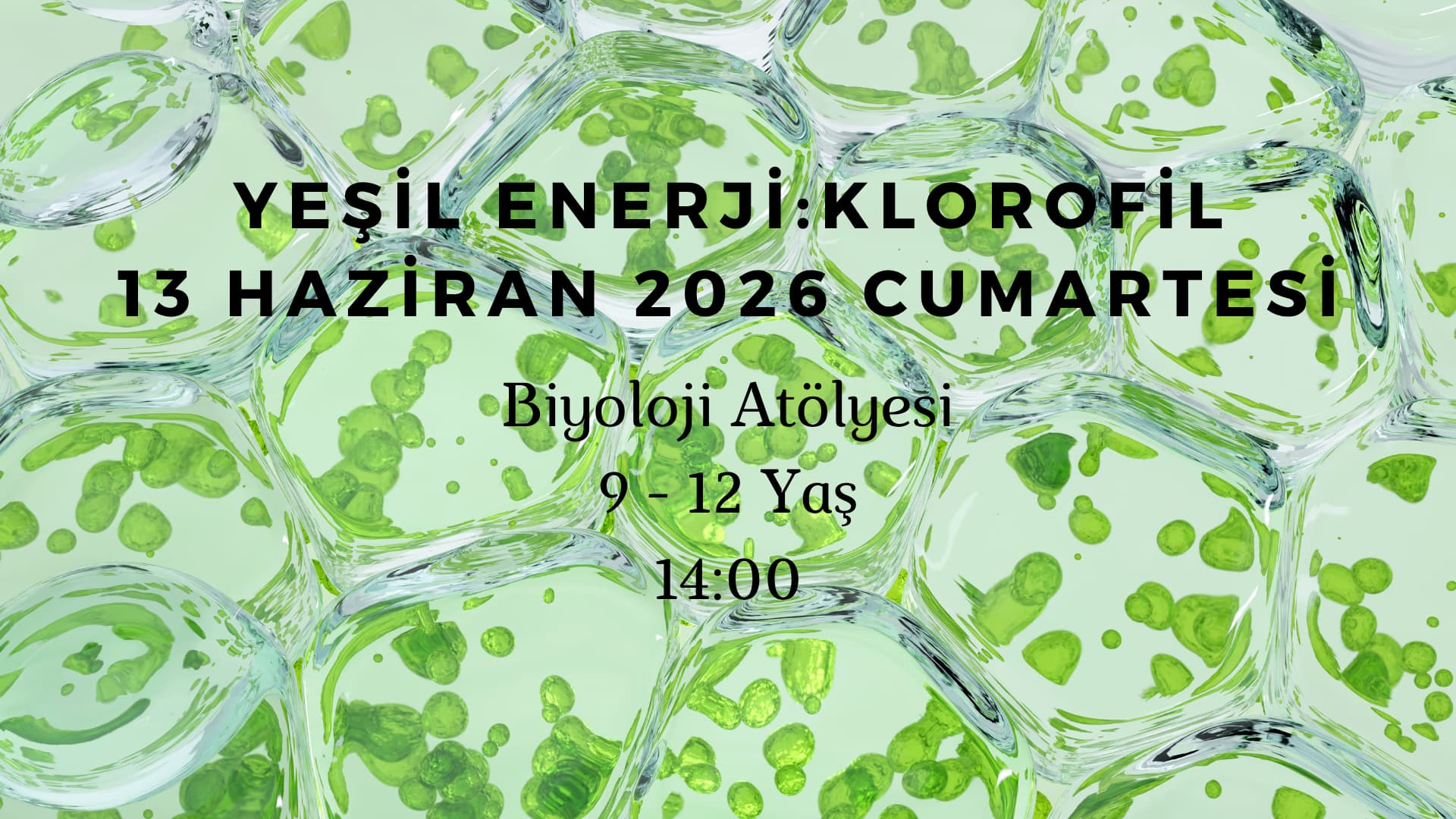 Yeşil Enerji - Klorofil 9-12 Yaş card
