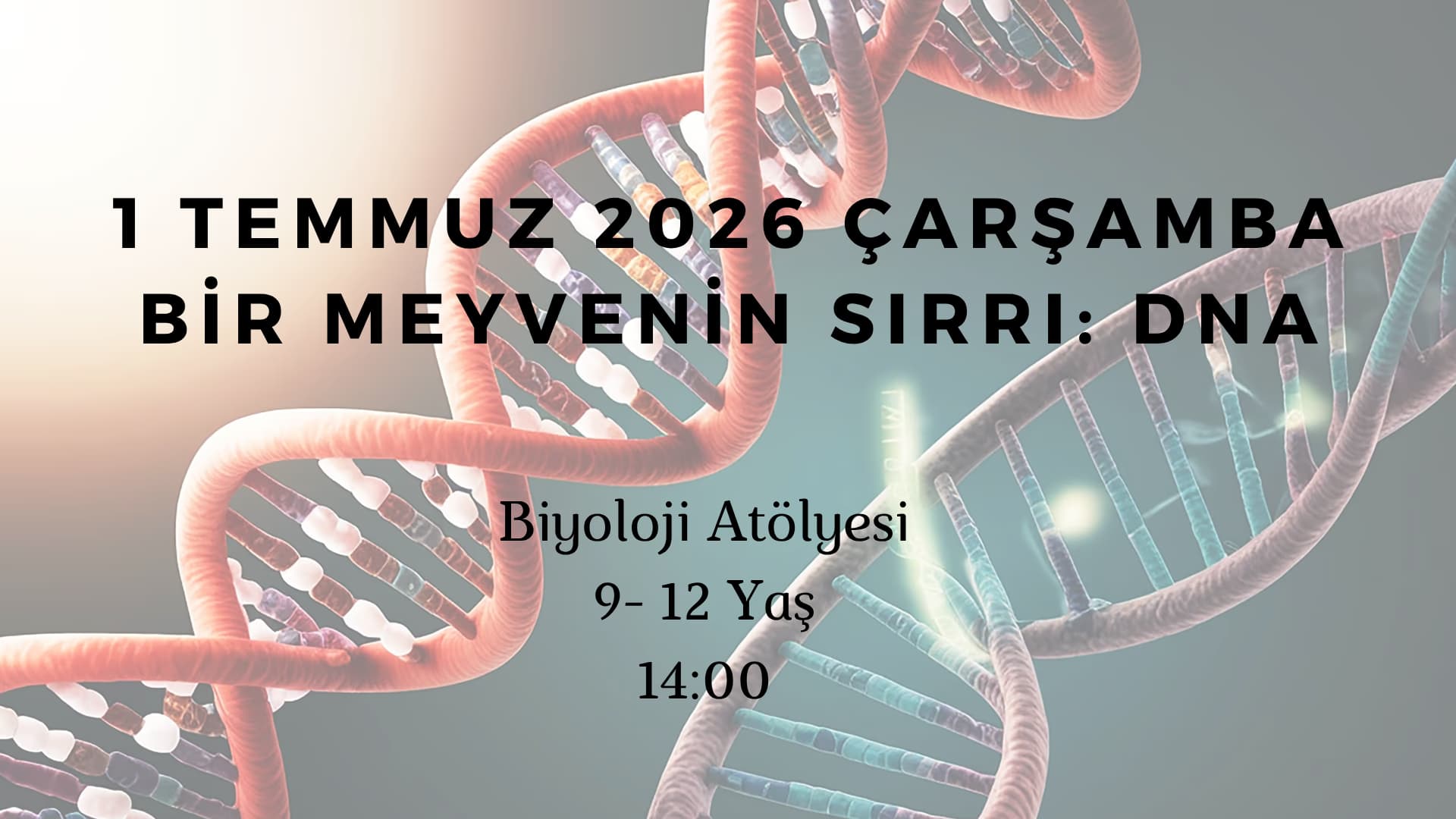 Bir Meyvenin Sırrı : DNA 9-12 Yaş