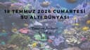 Etkinlik Fotoğrafı