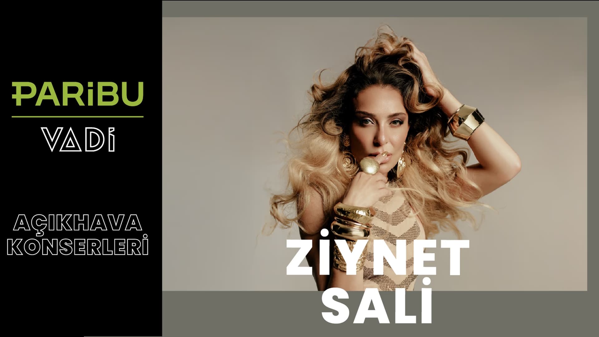 Ziynet Sali