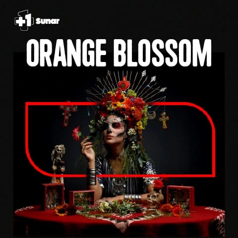 +1 Sunar: Orange Blossom küçük resim