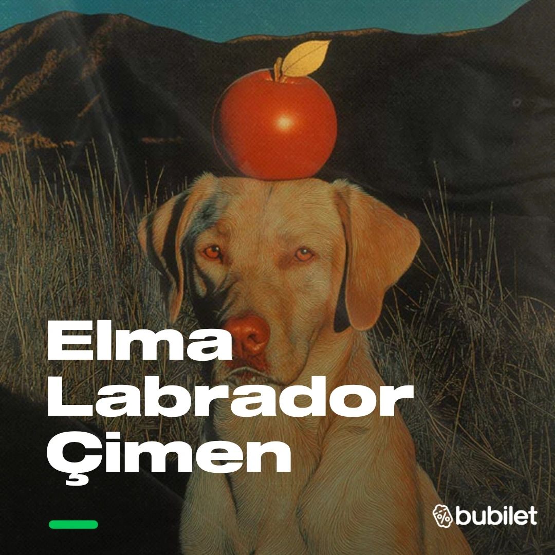 Elma Labrador Çimen küçük resim