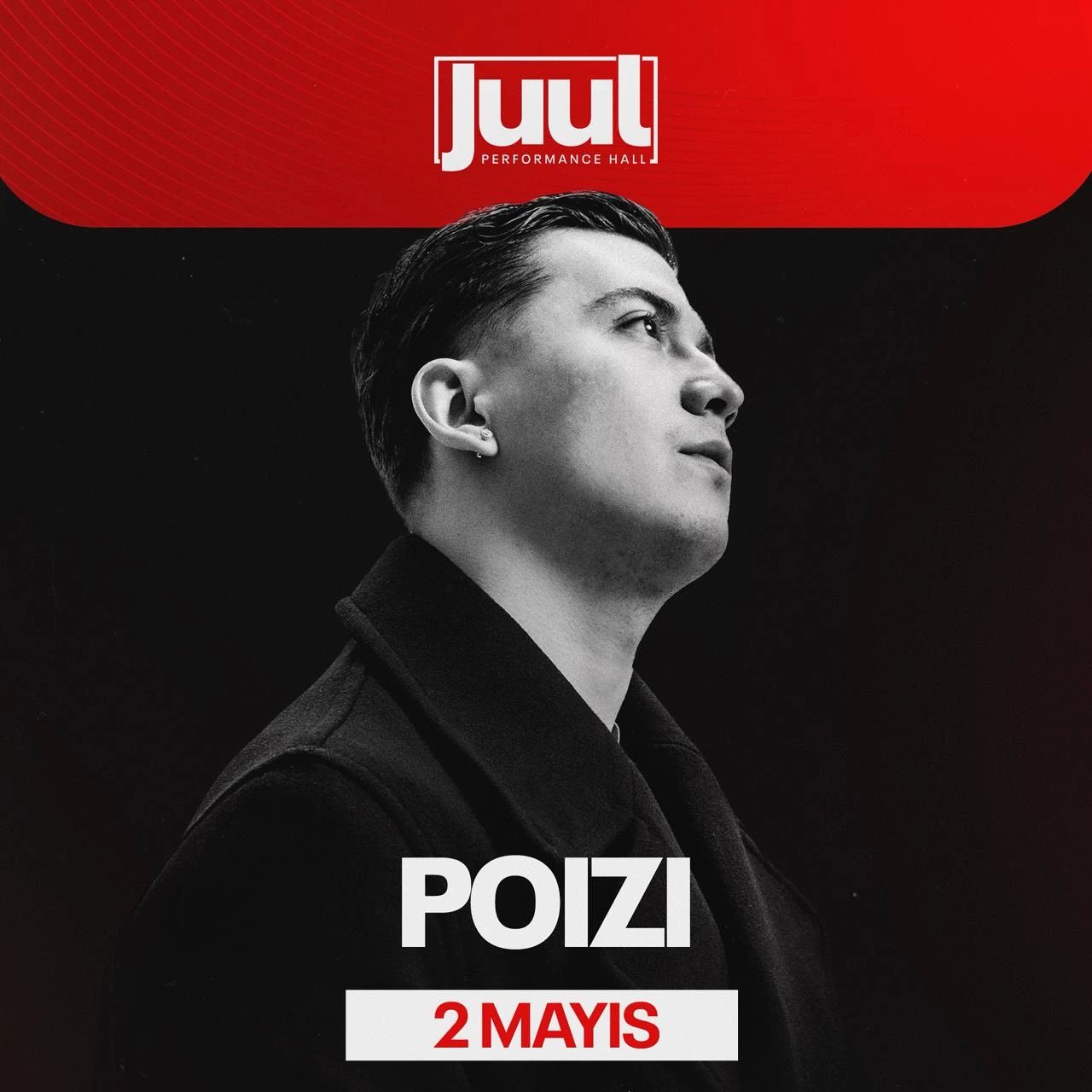 Poizi Konseri küçük resim