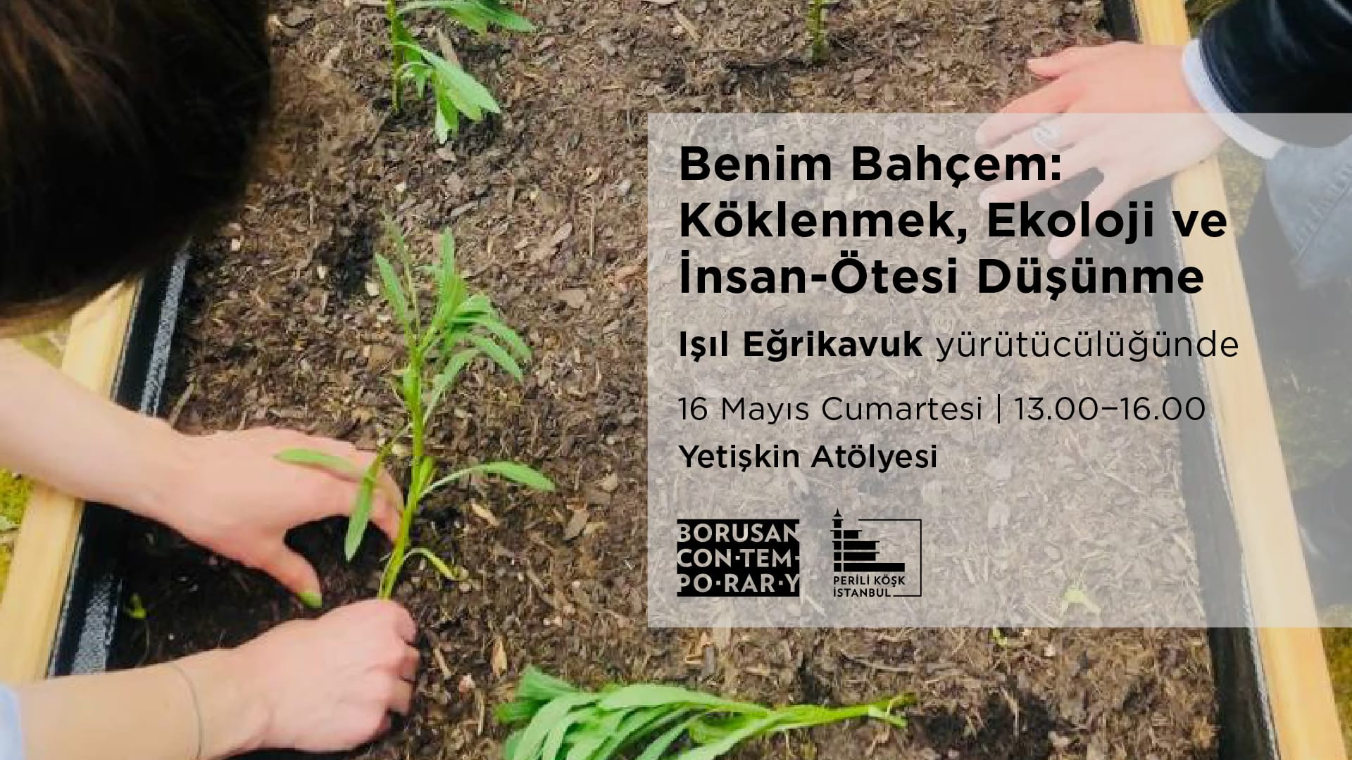 Işıl Eğrikavuk ile “Benim Bahçem: Köklenmek, Ekoloji ve İnsan-Ötesi Düşünme” küçük resim