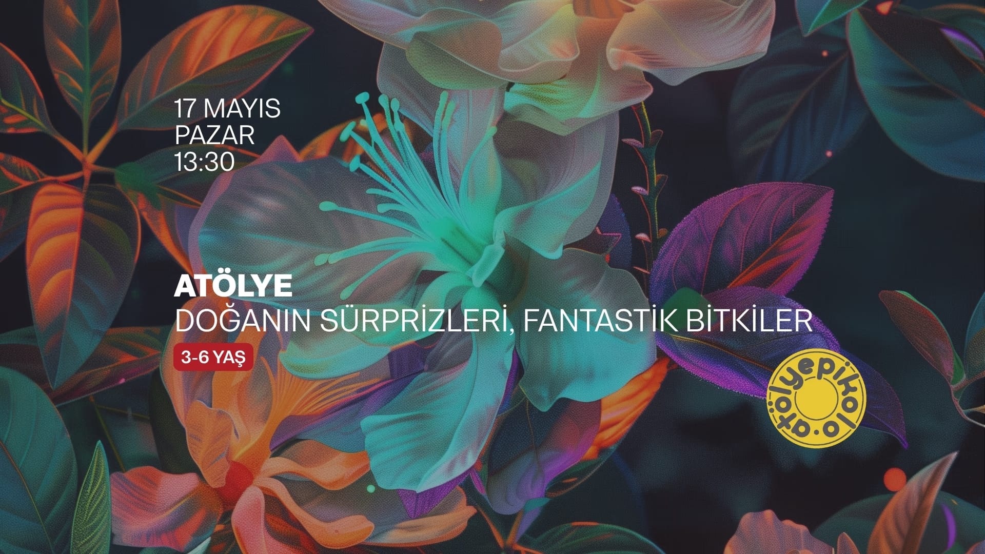 Doğanın Sürprizleri, Fantastik Bitkiler 
3-6 yaş (bir yetişkin eşliğinde) küçük resim