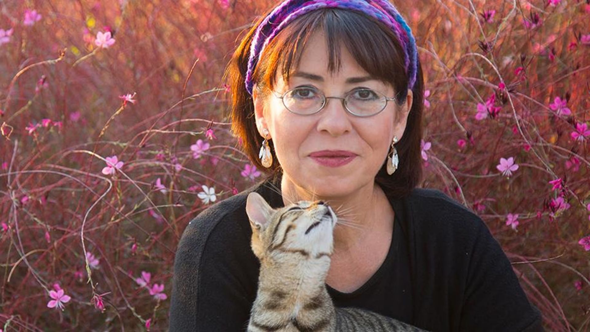 İlkay Akkaya küçük resim