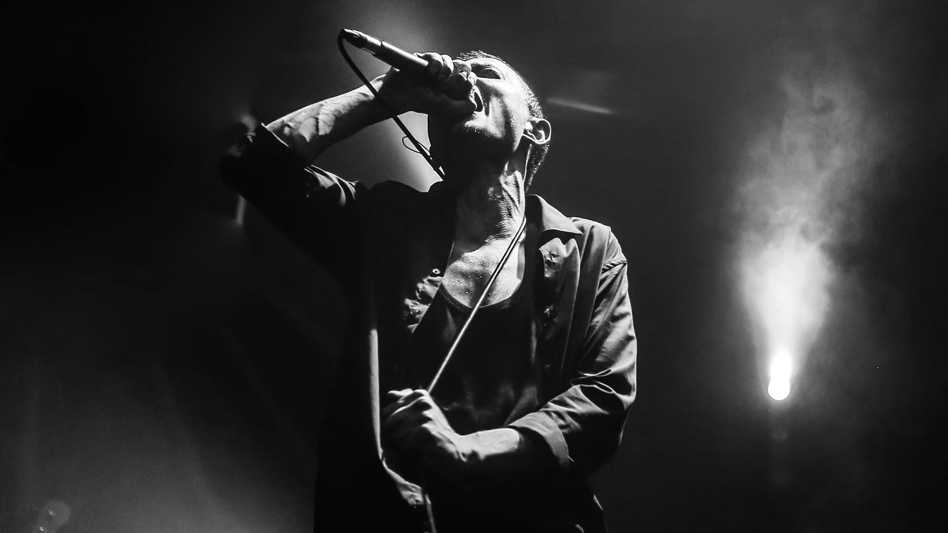 Ağaçkakan küçük resim