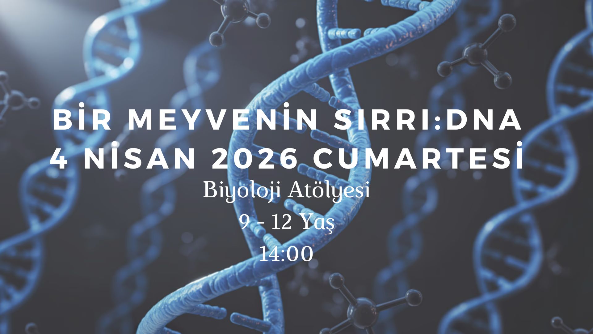 Bir Meyvenin Sırrı : DNA 9-12 Yaş küçük resim