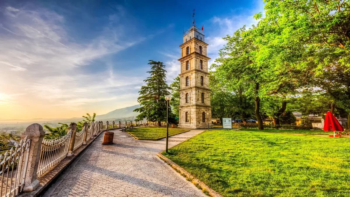Bursa
