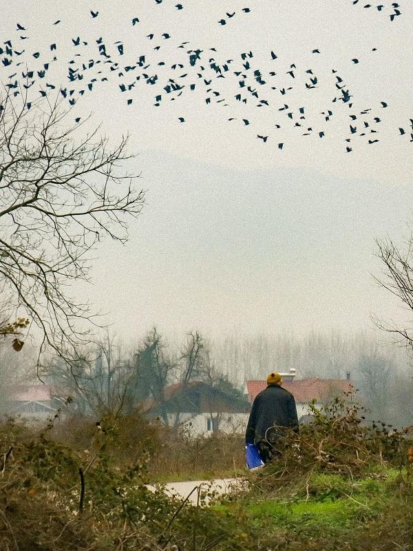 Babamın Sesine Uyandım card