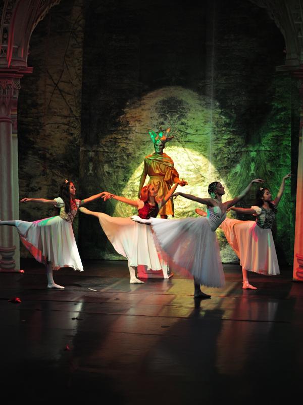 Balerin Prensesler card