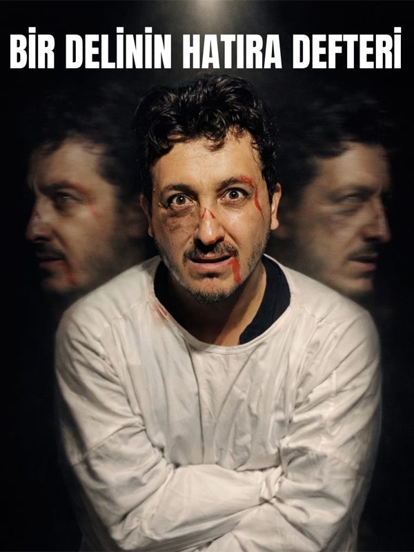 Bir Delinin Hatıra Defteri küçük resim