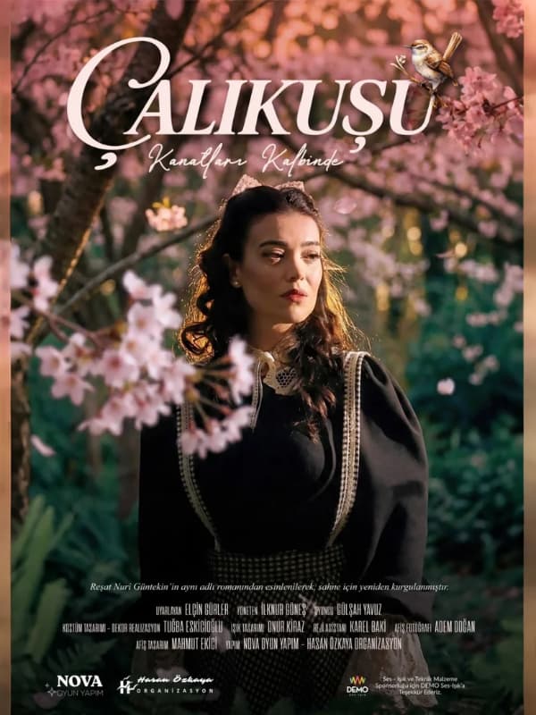 Çalıkuşu - Kanatları Kalbinde card