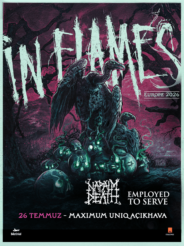 In Flames küçük resim