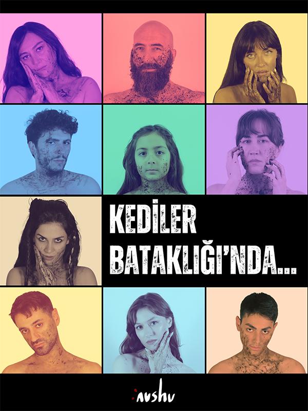 Kediler Bataklığı'nda... card