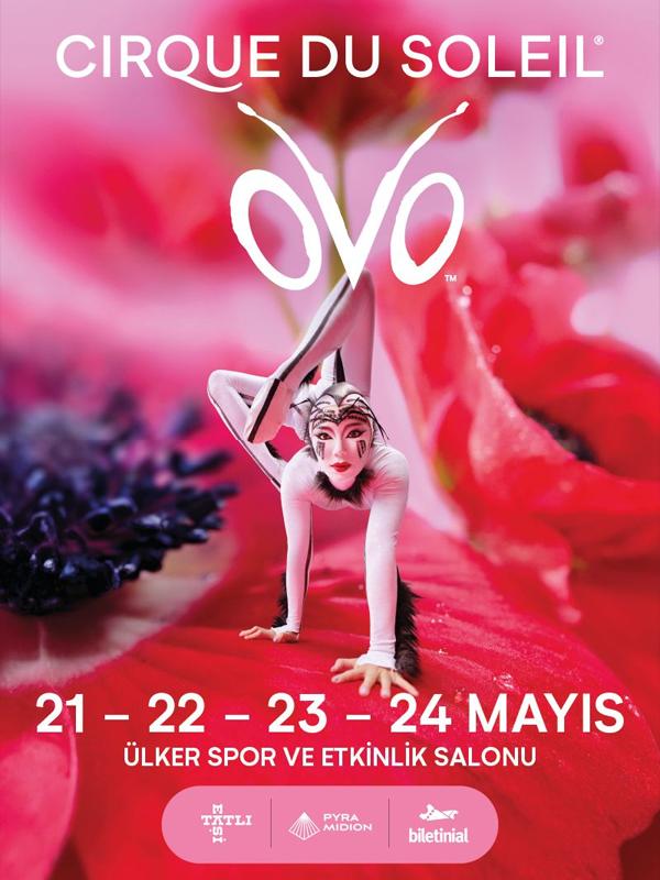 OVO – Cirque Du Soleil card