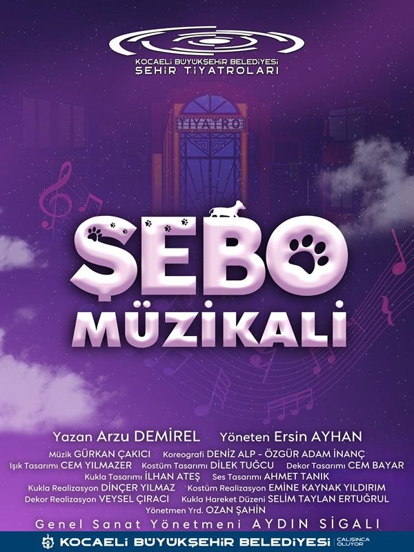 Şebo Müzikali card