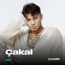 Etkinlik Fotoğrafı