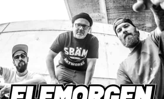 ELFMORGEN & FREUNDE Vol. 8