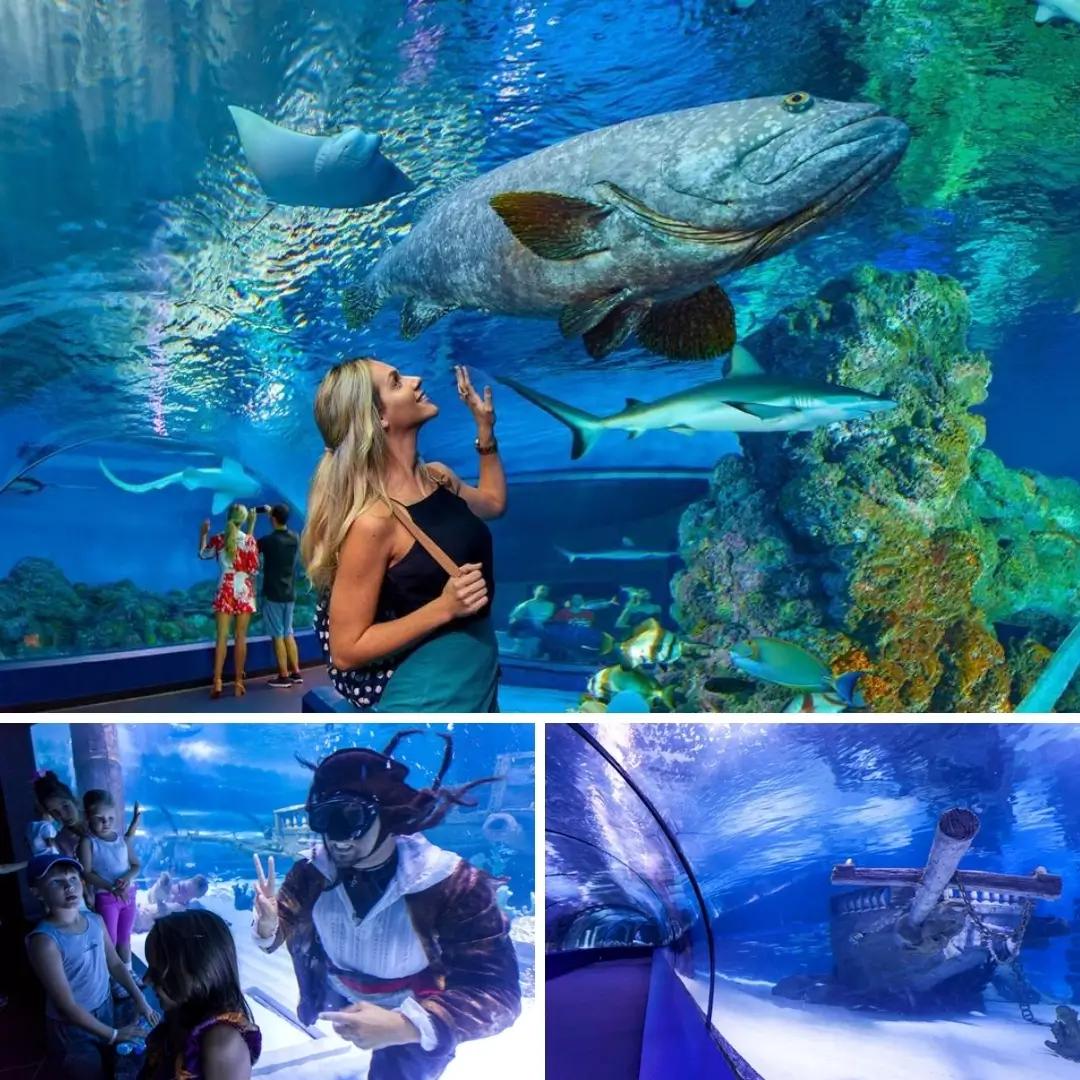 Antalya Aquarium card