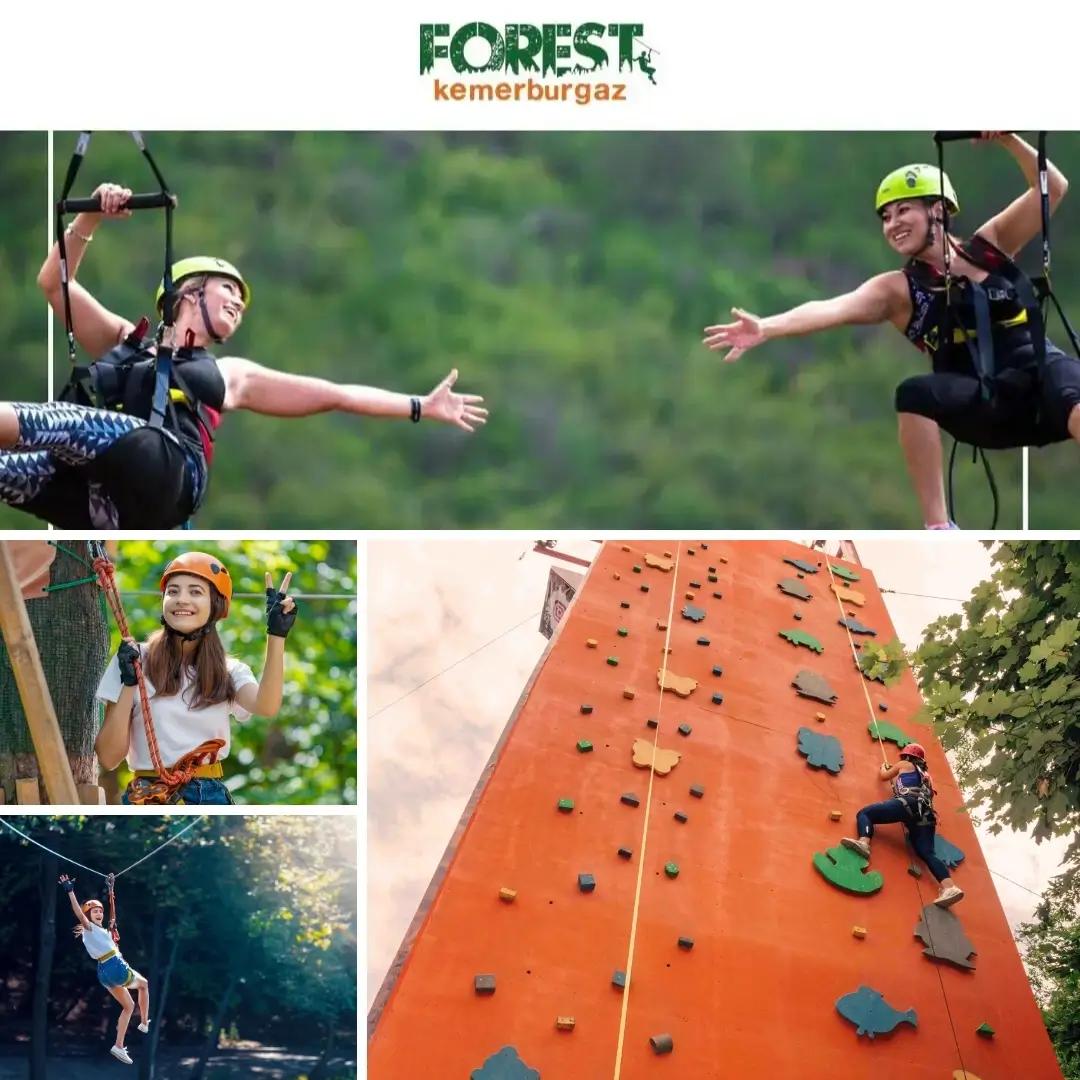 Forest Kemerburgaz card