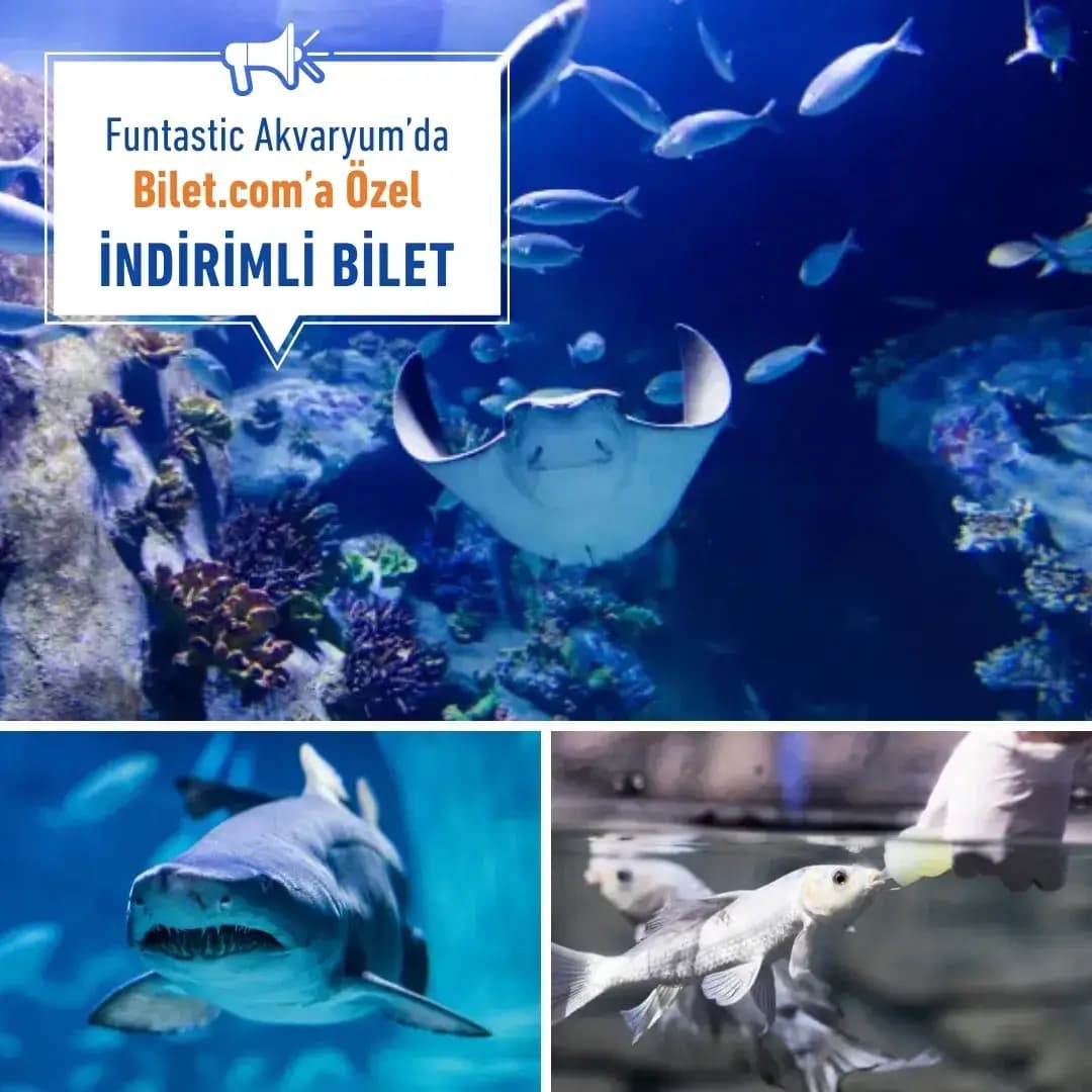 Funtastic Aquarium İzmir