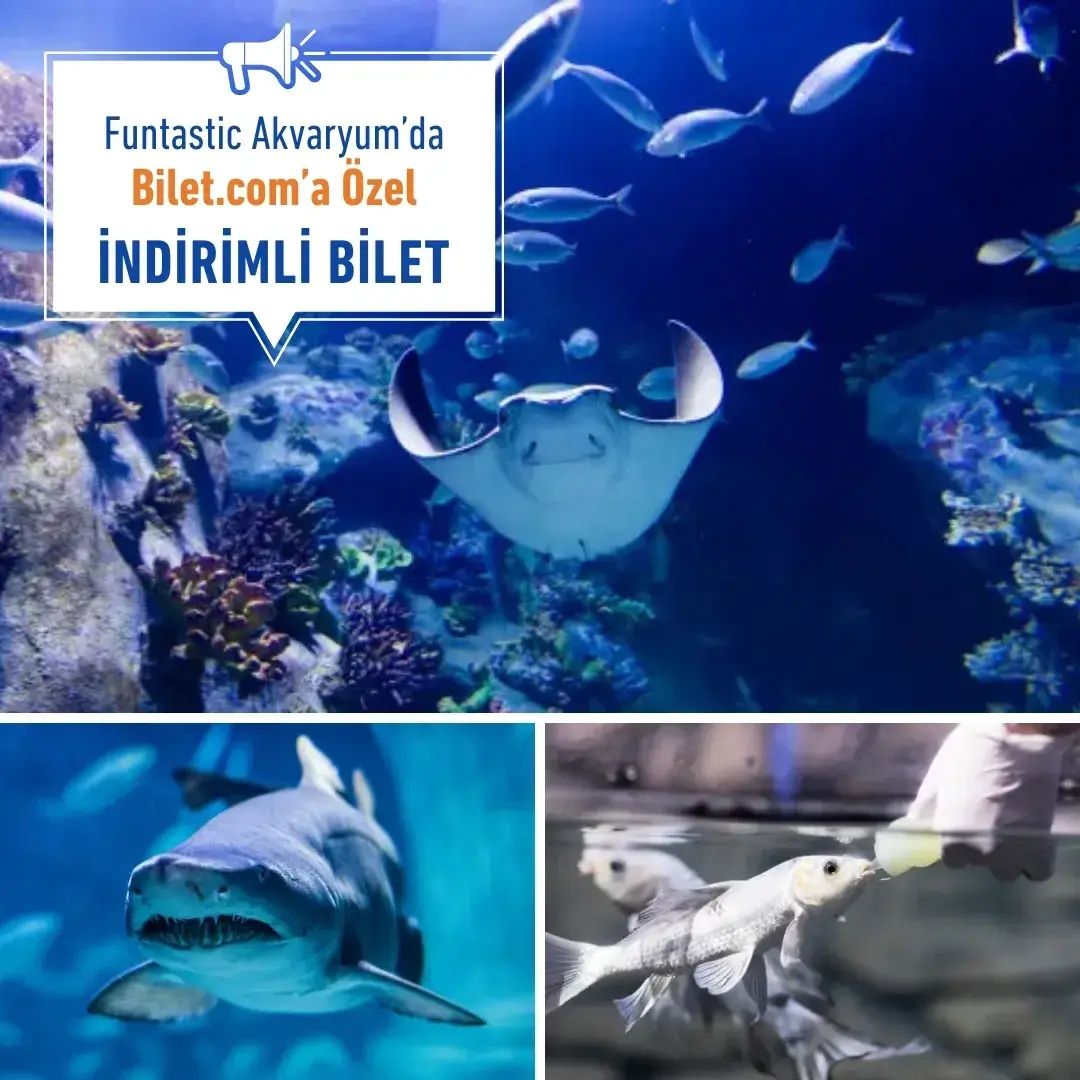 Funtastic Aquarium İzmir thumbnail