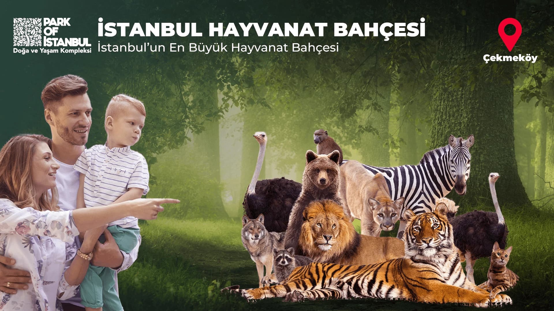 Park Of İstanbul