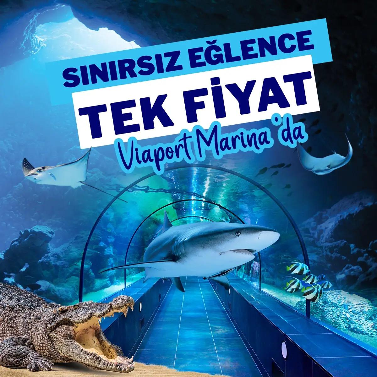 ViaSea Akvaryum card