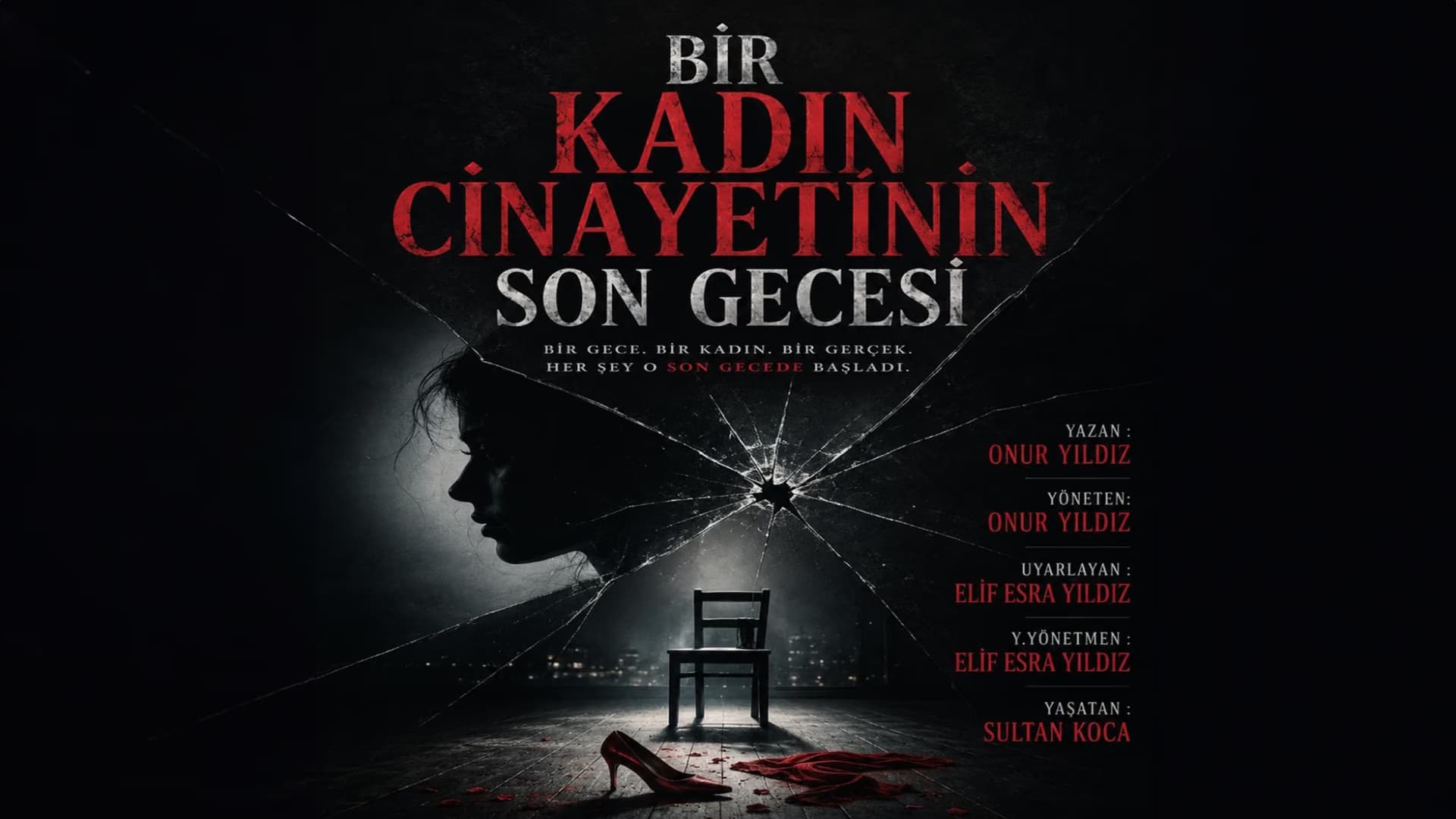 Bir Kadın Cinayetinin Son Gecesi