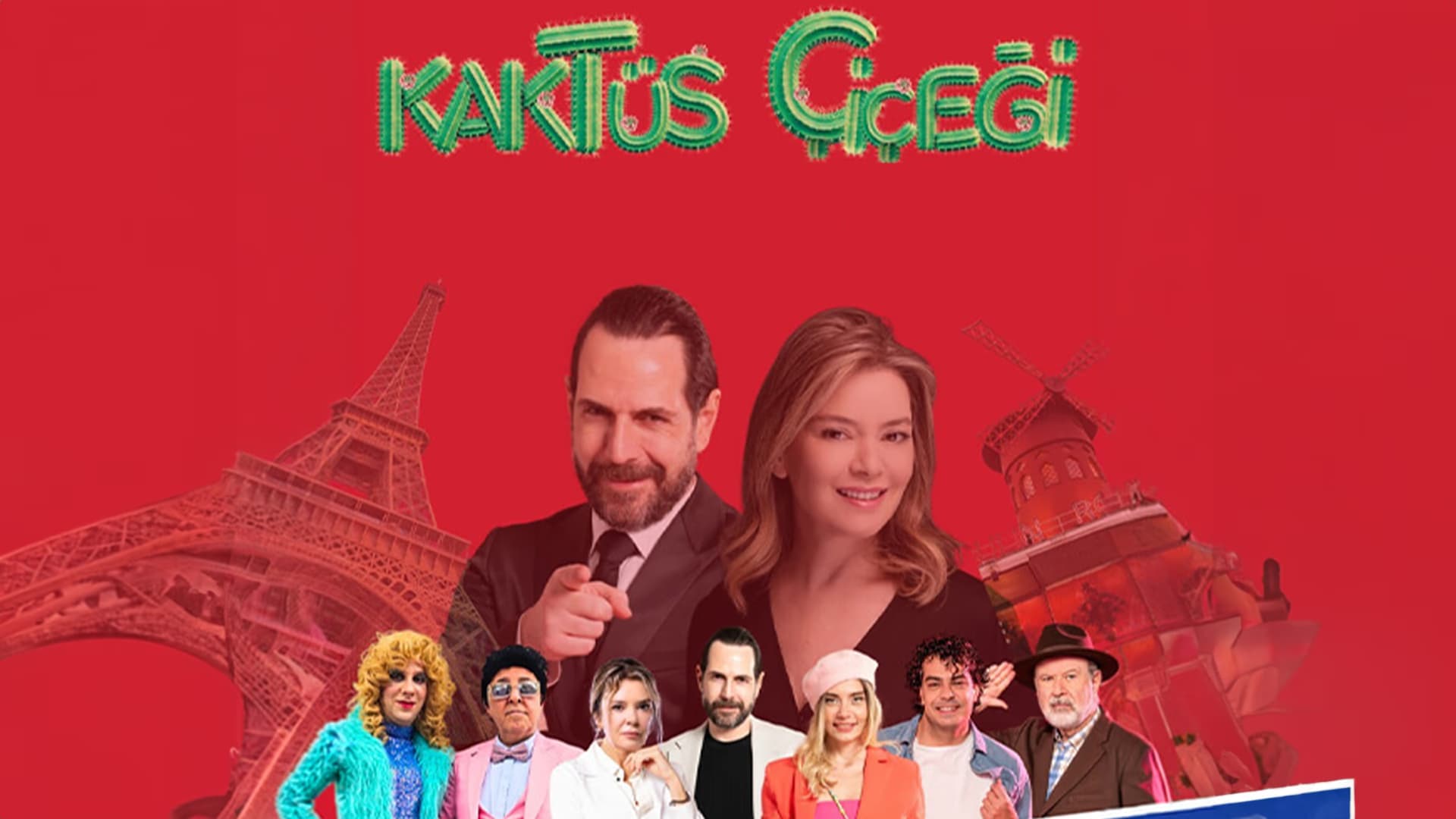 Kaktüs Çiçeği